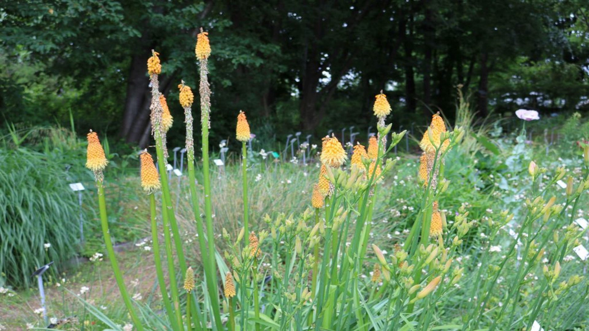 Jardin botanique de La Charme